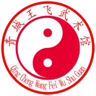 【武术社团】青城王飞武术馆