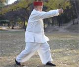 【门派拳种】王式（王青山）形意拳