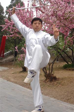 宋海波·金刚力功二十四代传人（大辞典收录）