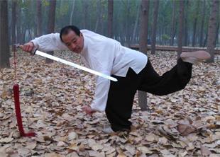 樊卫东·阴阳八盘掌传人