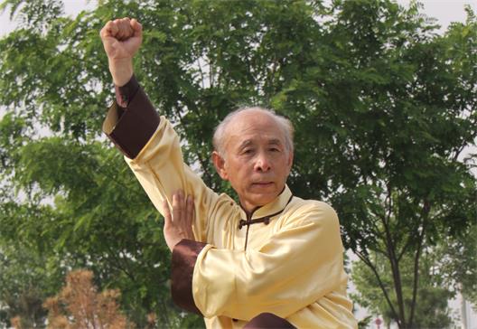 【武术社团】邢台市桥西太极协会