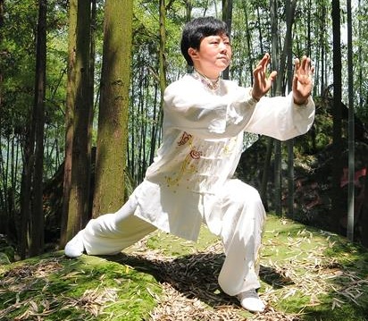 邹帆·昆仑太极门第五代掌门