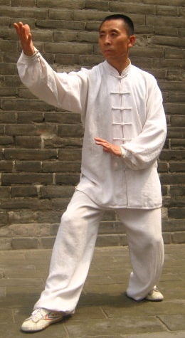 【百家观点】刘启业·陕西六合枪渊源及传承